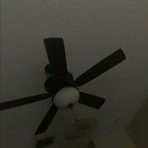 Meet your Posher, Tyra